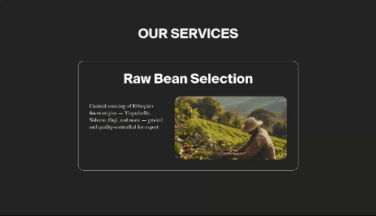 project preview